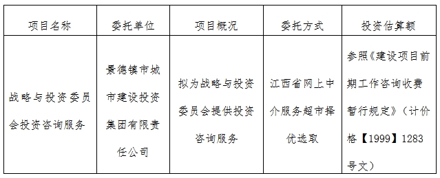 戰(zhàn)略與投資委員會(huì)投資咨詢服務(wù)計(jì)劃公告　　