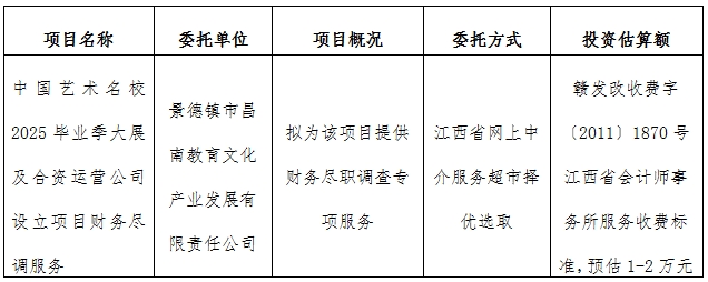 中國藝術名校2025畢業季大展及合資運營公司設立項目財務盡調服務計劃公告