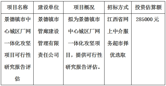 景德鎮市中心城區廠網一體化攻堅項目可行性研究報告評估計劃公告