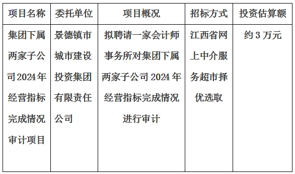集團下屬兩家子公司2024年經營指標完成情況審計項目計劃公告